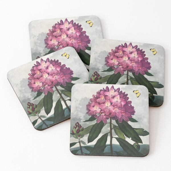 Item preview, The Pontic Rhododendron  The Temple of Flora Robert John Thornton designed and sold by digitalvintage.