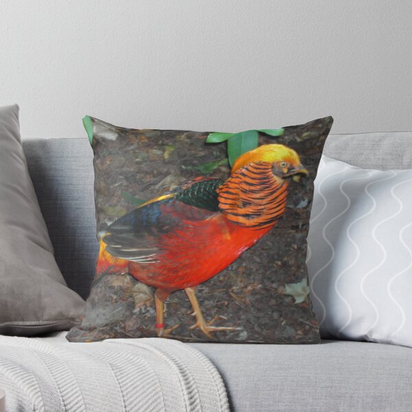 Item preview, Golden Pheasant designed and sold by lezvee.