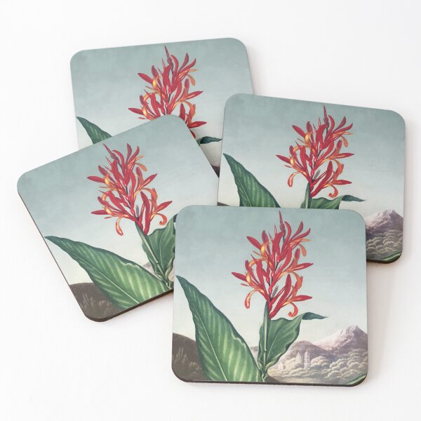 Item preview, Indian Reed from The Temple of Flora (1807) by Robert John Thornton designed and sold by digitalvintage.