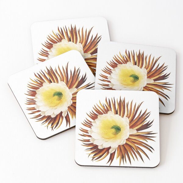 Item preview, The Night–Blowing Cereus Robert John Thornton designed and sold by digitalvintage.