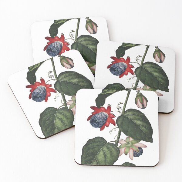Item preview, The Winged Passion Flower John Robert Thornton The Temple of Flora designed and sold by digitalvintage.