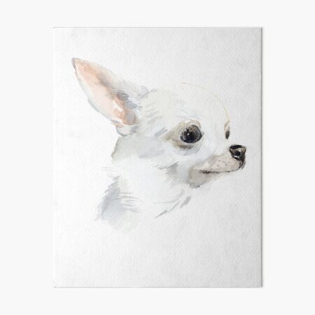 White Chihuahua Cute Chihuahua Dog Art Board Print By Denas01 Redbubble