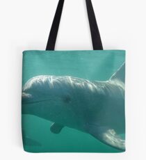 Common Bottlenose Dolphins (Tursiops truncatus) - Point Lowly Peninsula, South Australia Tote Bag