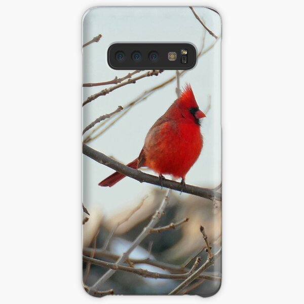 Beautiful Cardinal Samsung Galaxy Snap Case