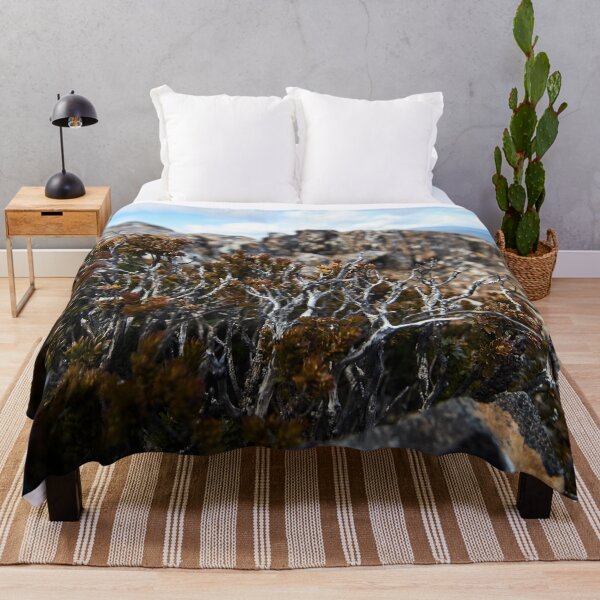 Item preview, Tasmanian alpine shrub designed and sold by PeteMellows.