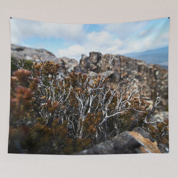 Item preview, Tasmanian alpine shrub designed and sold by PeteMellows.
