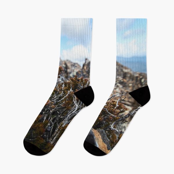 Item preview, Tasmanian alpine shrub designed and sold by PeteMellows.