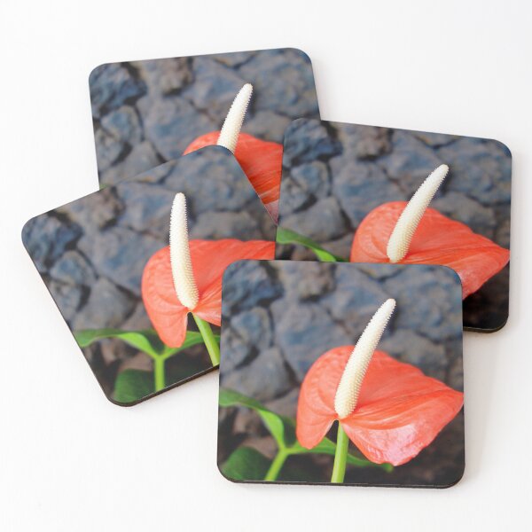 Item preview, Maui Resort Study 2  designed and sold by Robert Meyers-Lussier.