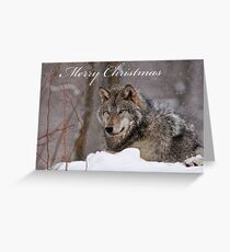 Christmas Card - Timber Wolf Greeting Card