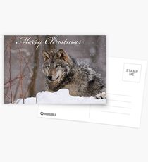 Christmas Card - Timber Wolf Postcards