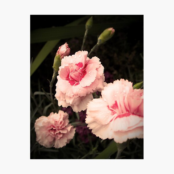 Item preview, Pinks designed and sold by Rewards4life.