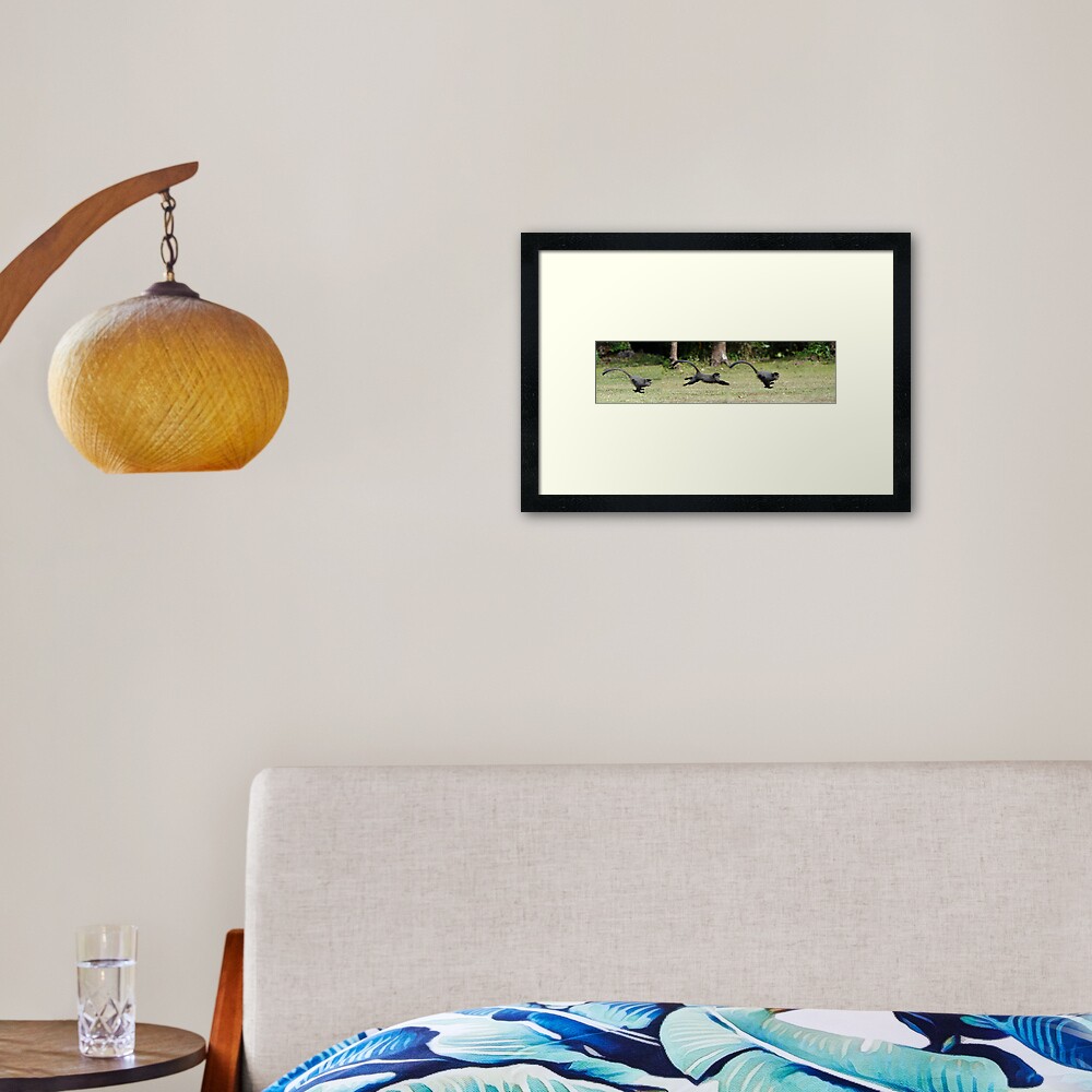 Baby Monkey Sequence Framed Art Print