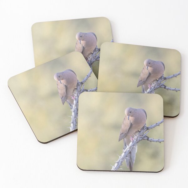 Item preview, Dove on Ocotillo designed and sold by Elisabeth Lucas.