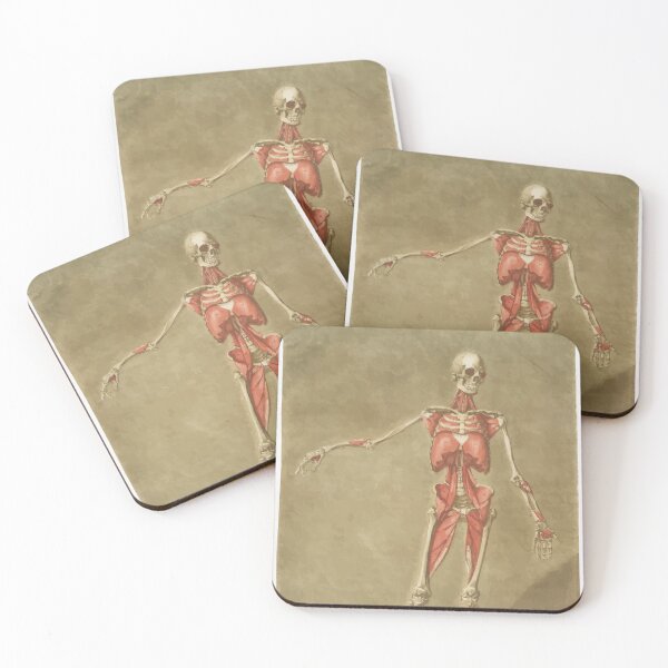 Item preview, Anatomical Illustration Skeleton Arnauld-Eloi Gautier-Dagoty designed and sold by digitalvintage.