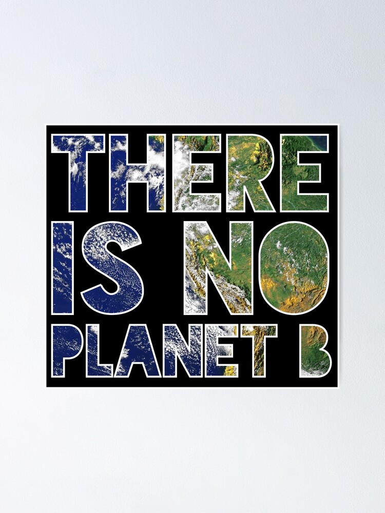 "There Is No Planet B" Poster For Sale By D247 | Redbubble