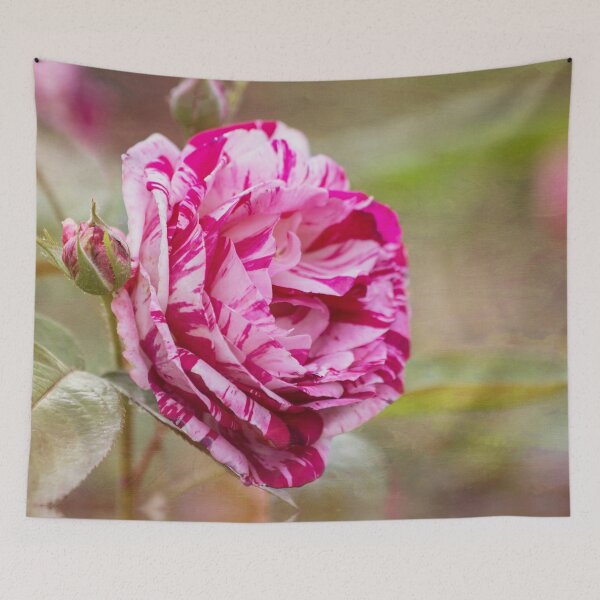 Item preview, Rose Reflection designed and sold by Elisabeth Lucas.