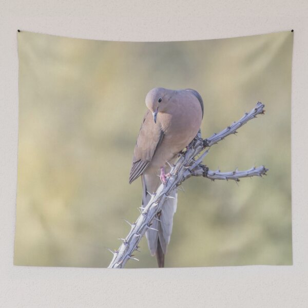 Item preview, Dove on Ocotillo designed and sold by Elisabeth Lucas.