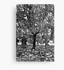 Your Going To Die, Get Used To It (or, Insert HERE!!) Metal Print