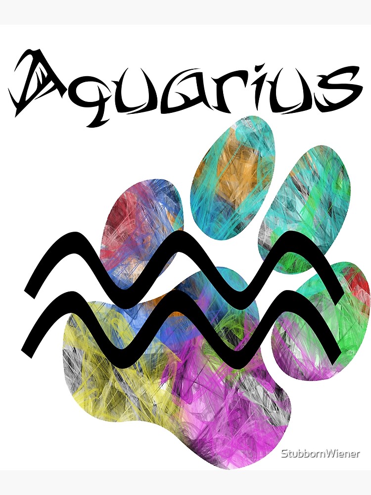 "Dachshund Zodiac Aquarius " Poster by StubbornWiener Redbubble
