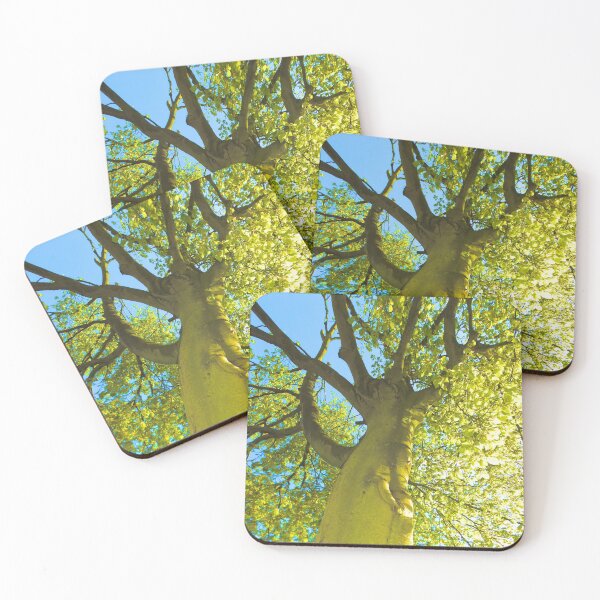 Item preview, Summer Beech designed and sold by SexyEyes69.