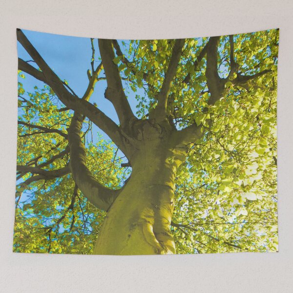 Item preview, Summer Beech designed and sold by SexyEyes69.
