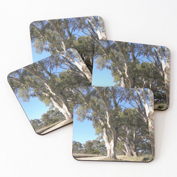 Item preview, Mid Morning Light on the Stately Red Gums. Adelaide Hills. Australia. designed and sold by RitaBlom.