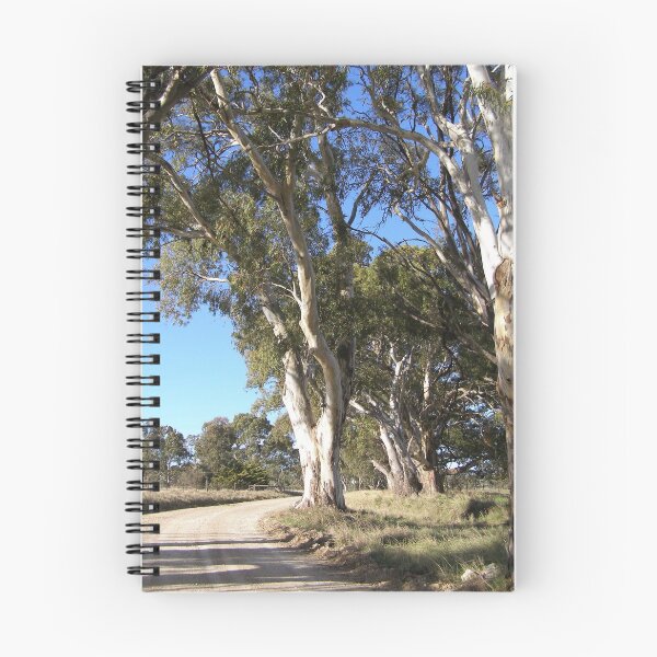 Item preview, Mid Morning Light on the Stately Red Gums. Adelaide Hills. Australia. designed and sold by RitaBlom.