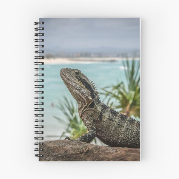 Item preview, Water Dragon at Coolangatta, Gold Coast designed and sold by Clintpix.