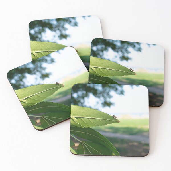 Item preview, The fly leaf designed and sold by HadesG8.