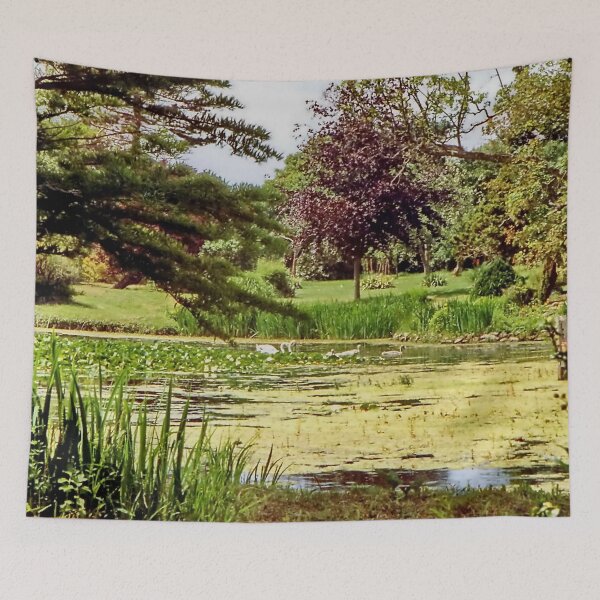 Item preview, Cisnes en Dorset designed and sold by AnnDixon.
