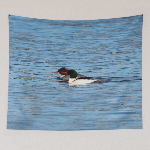 Item preview, Pair of Goldeneye Ducks designed and sold by Susie Kramer.
