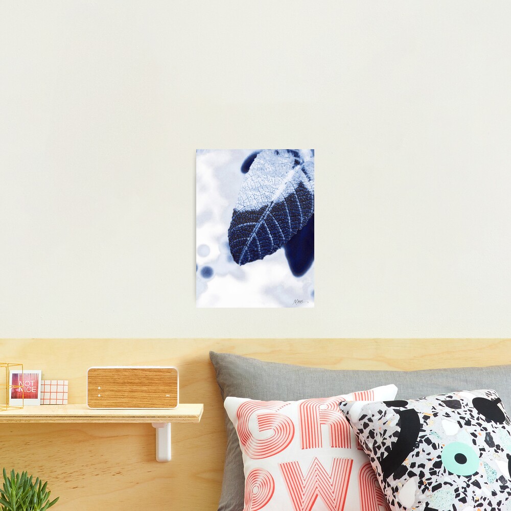 Chilly In Blue Photographic Print