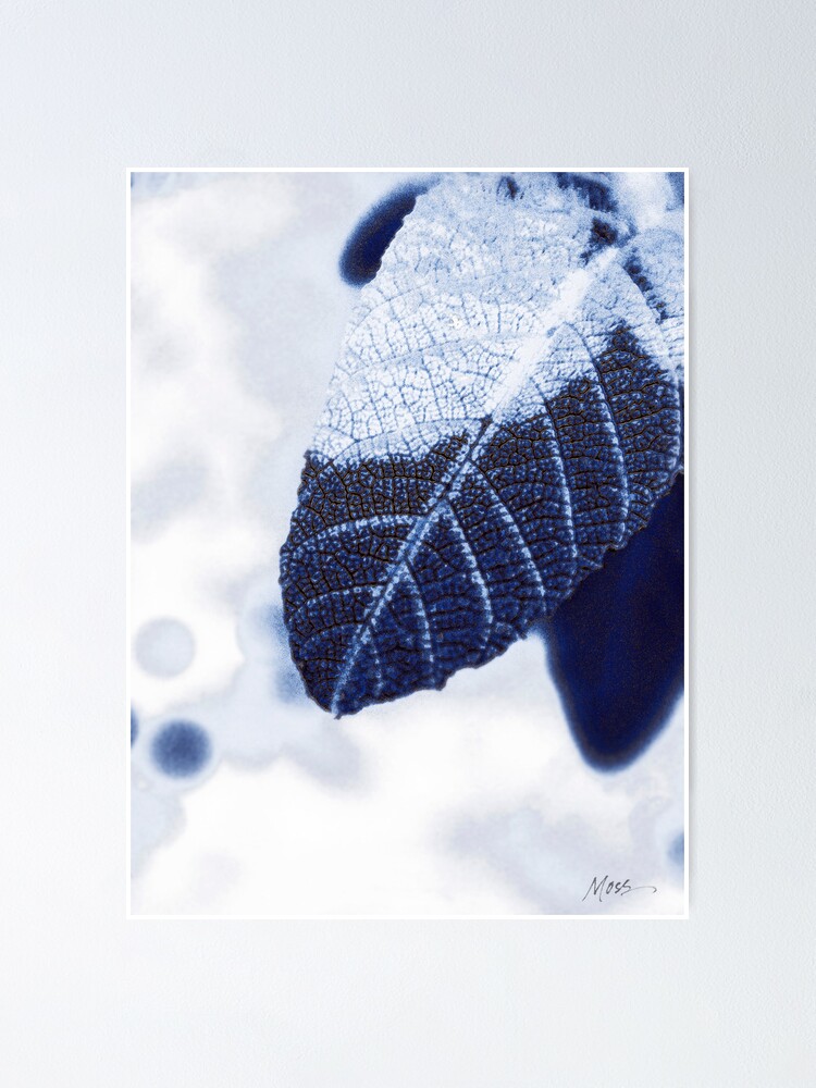 Alternate view of Chilly In Blue Poster