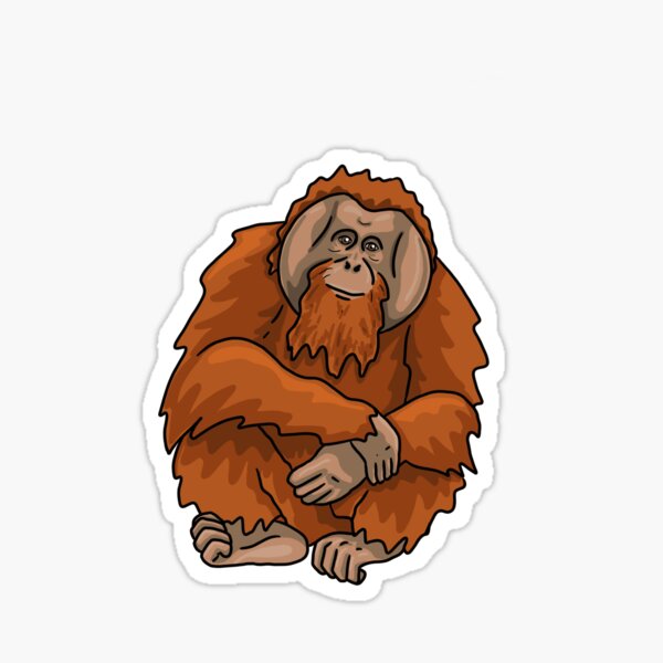 Item preview, Male orangutan (Pongo pygmaeus). designed and sold by Pongidae.