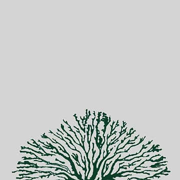 Artwork thumbnail, Tree by CreativeWorld96