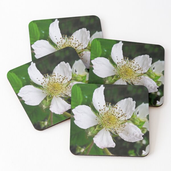Item preview, Bramble flower in full bloom designed and sold by ArtisticMishaps.