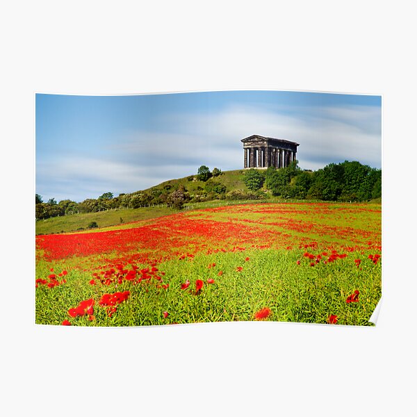 Penshaw Poppies Poster