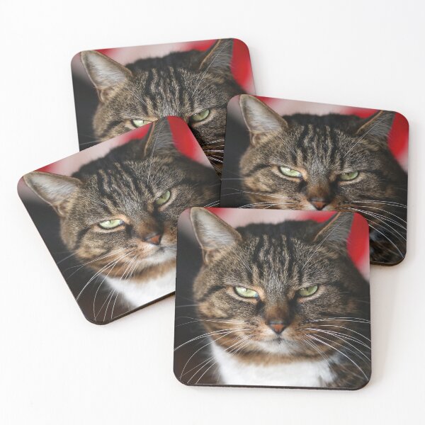 Item preview, Cat's glare designed and sold by GreyFeatherPhot.
