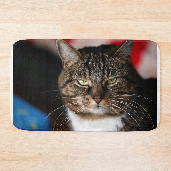 Item preview, Cat's glare designed and sold by GreyFeatherPhot.