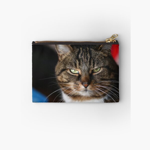 Item preview, Cat's glare designed and sold by GreyFeatherPhot.