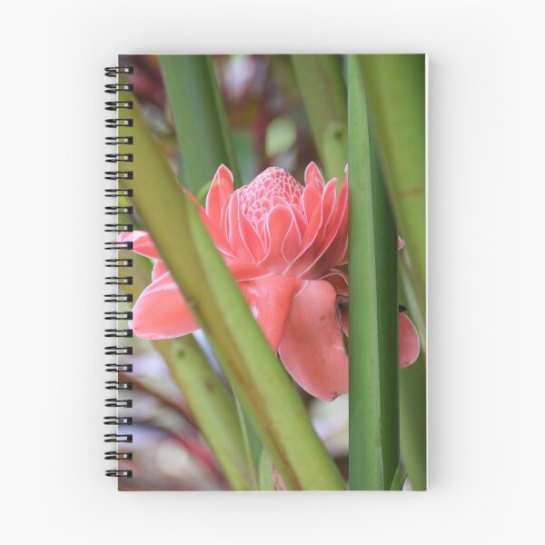 Item preview, tropical flower designed and sold by Angel35.