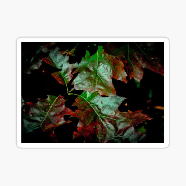 Item preview,  Coloured Autumn leaf designed and sold by HadesG8.