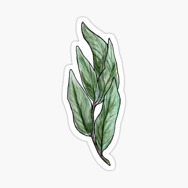 Tea Leaves Sticker