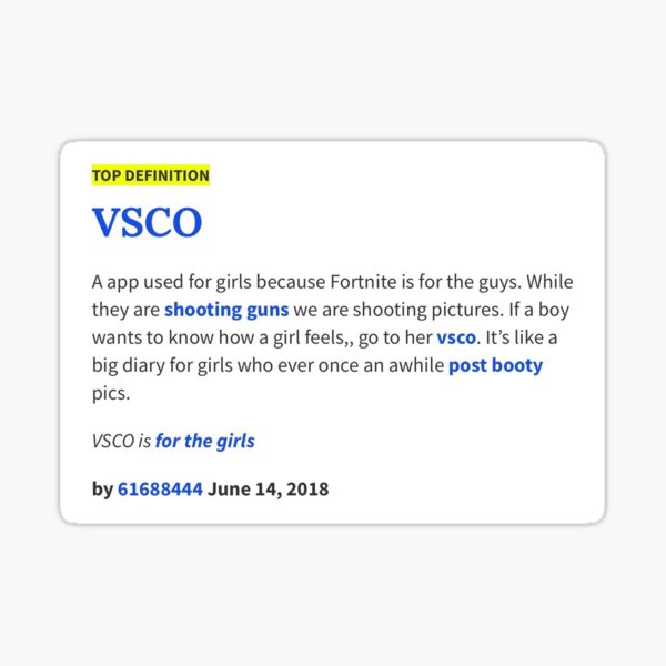  Vsco  Girl Definition  Stickers Redbubble