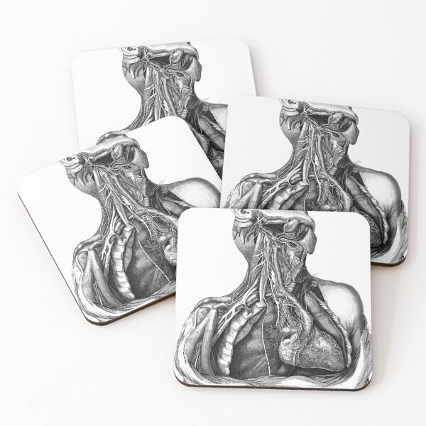 Item preview, Anatomy designed and sold by unbecome.