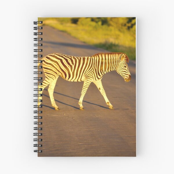 Item preview, Zebra Crossing designed and sold by cyprusst.