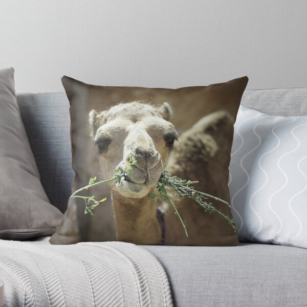 Camel Eating Dinner Throw Pillow