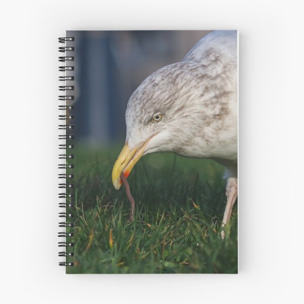Item preview, Early birds designed and sold by GreyFeatherPhot.