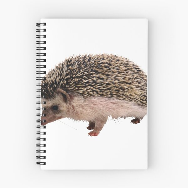 Item preview, Hedgehog "Hérisson" designed and sold by airdrop.