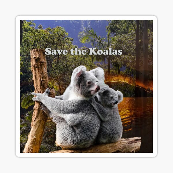 All Koala Bracelet Profits Will Be Donated  Earth Bands